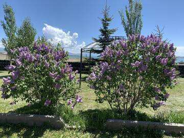 Фотографии Виллы PARADISE VILLA in Sevan г. Севан (Армения) №2 Фото Виллы PARADISE VILLA in Sevan г. Севан 2